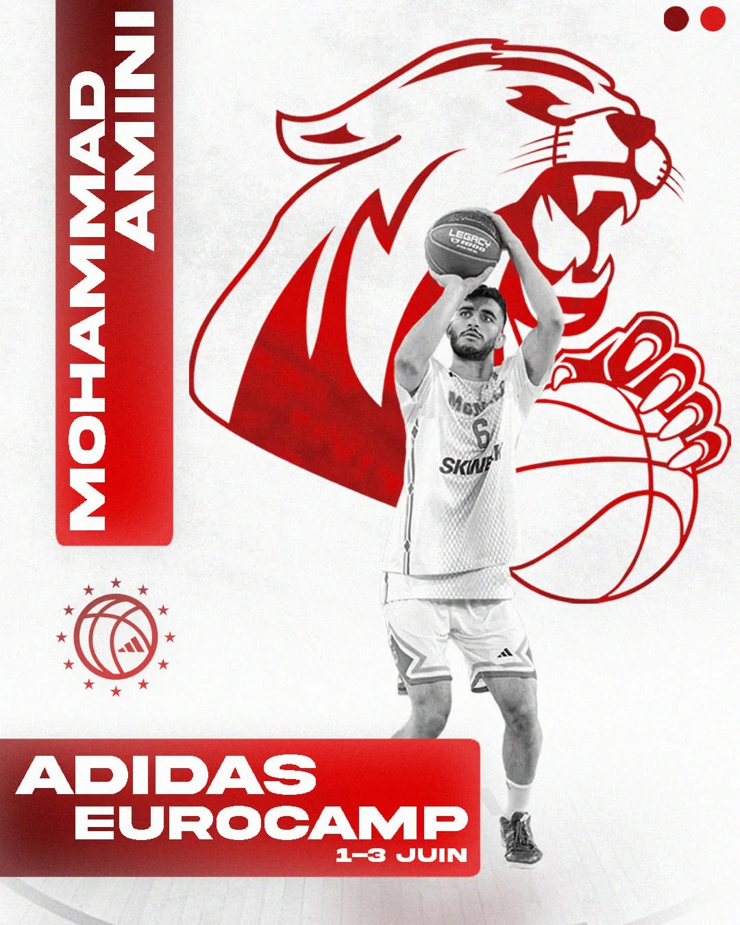 Amini Eurocamp